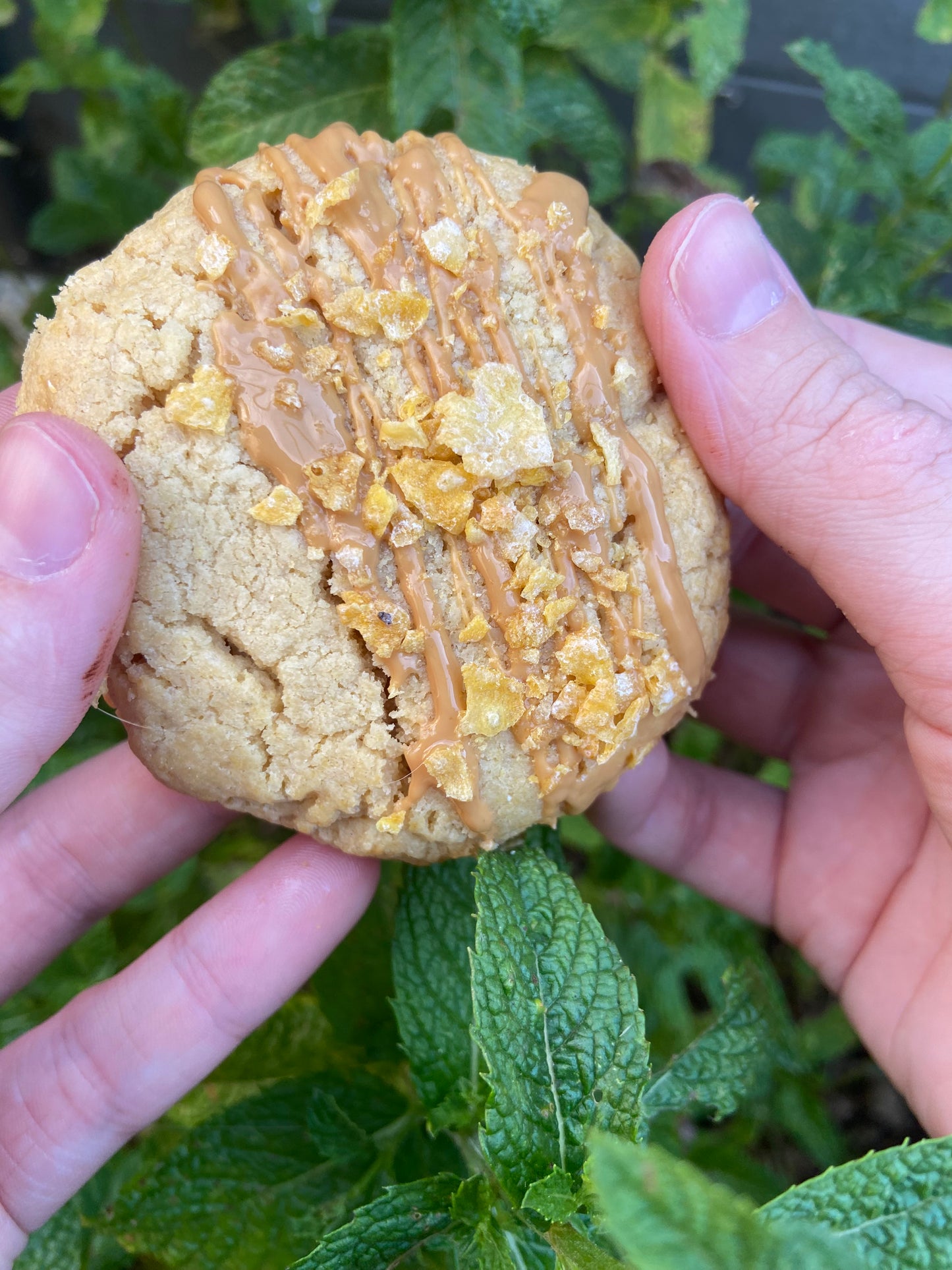 Le Cookie Cacahuète
